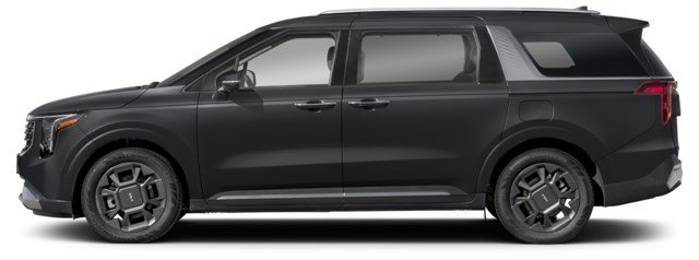 Aurora Black Pearl [Black]
