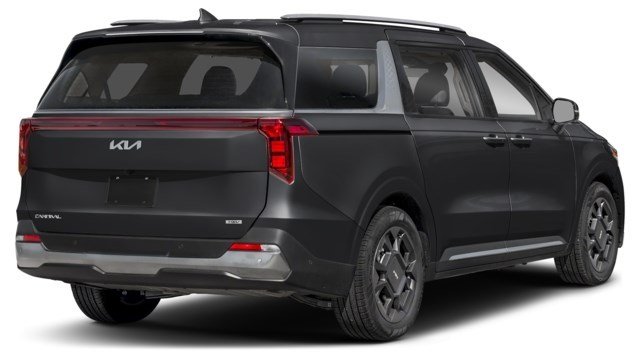 Aurora Black Pearl [Black]