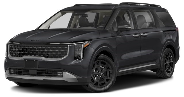 Aurora Black Pearl [Black]