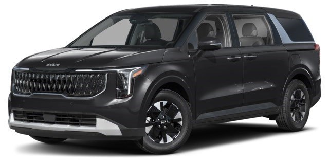 Aurora Black Pearl [Black]