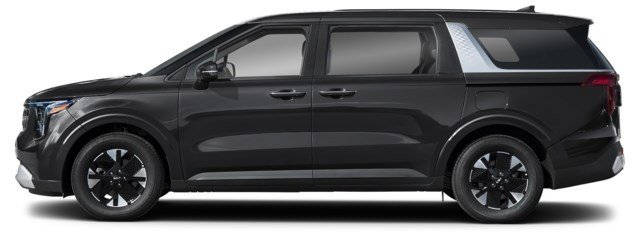 Aurora Black Pearl [Black]