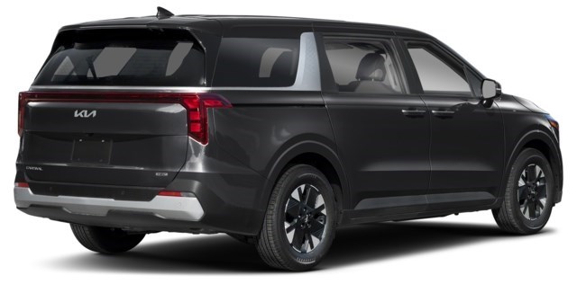 Aurora Black Pearl [Black]