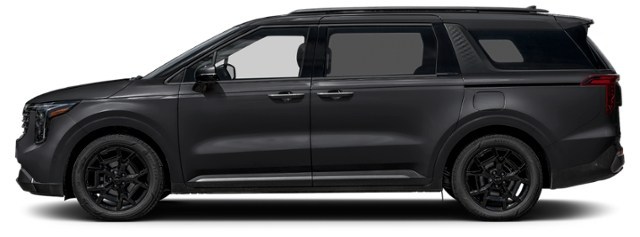 Aurora Black Pearl [Black]